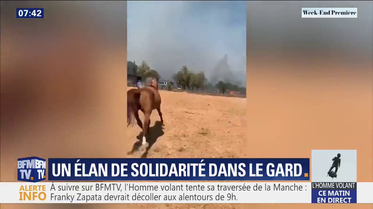 Incendie dans le Gard: cette monitrice d'équitation a perdu l'un de ses chevaux