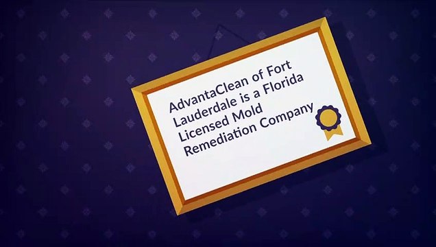 Fort Lauderdale Mold Remediation, Water Damage Repair, Air Duct Cleaning