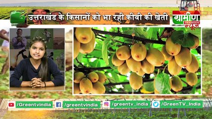 Uttarakhand के किसानों को भा रही कीवी की खेती | Kisan Bulletin 04 August 2019 : Grameen News