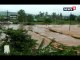 VIDEO: डिंडोरी में मूसलाधार बारिश से नदी नाले उफान पर, सैंकड़ों गांवों का टूटा संपर्क