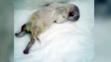 거창출장안마 -후불100%ョØ7ØE7575E0062｛카톡DK654｝ 거창전지역출장안마 거창오피걸 거창출장마사지 거창안마 거창출장마사지 거창콜걸샵のせ⻈