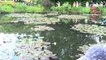 Claude Monet 2-2 Famed Lily Pond,  Giverny  Town,  Monet Arts, France 3, 30 MAY 2019