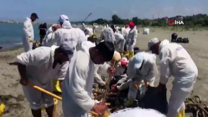 Selin Karadeniz kıyılarına getirdiği kirlilik temizleniyor