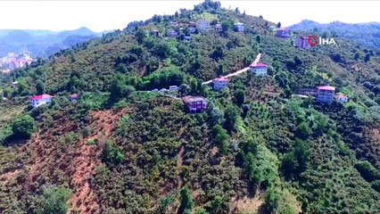 Üreticiler fındık bahçelerine kemençelerle girdi