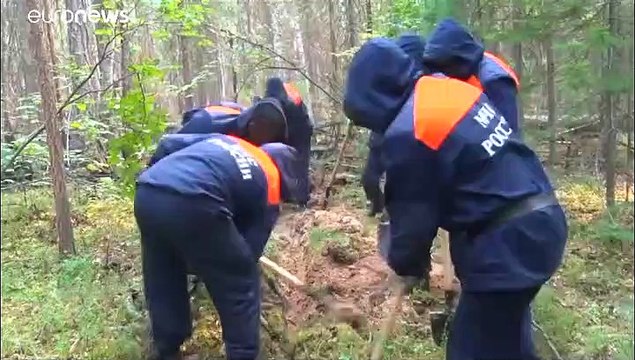 Dürre, Hitze, leichtsinnige Lagerfeuer: Waldbrände in Sibirien