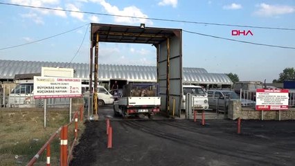 EDİRNE'DE KURBAN PAZARINDA YOĞUNLUK