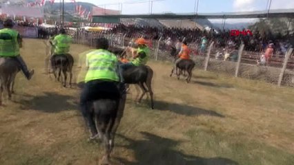 SPOR Eşek sırtında futbol maçı yaptılar