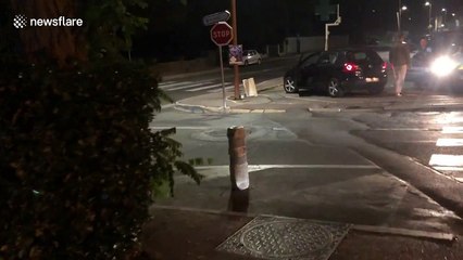 Too cute! Family of wild boar crosses road in South of France