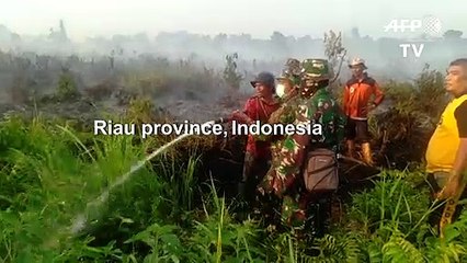 Indonesia forest fires continue to burn