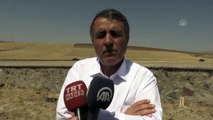 Murat Nehri'nde boğulan 4 çocuk defnedildi - Beşçatak Muhtarı Yıldız - MUŞ