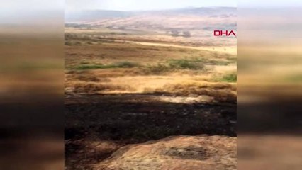 İZMİR FOÇA'DA MAKİLİK ALANDA YANGIN