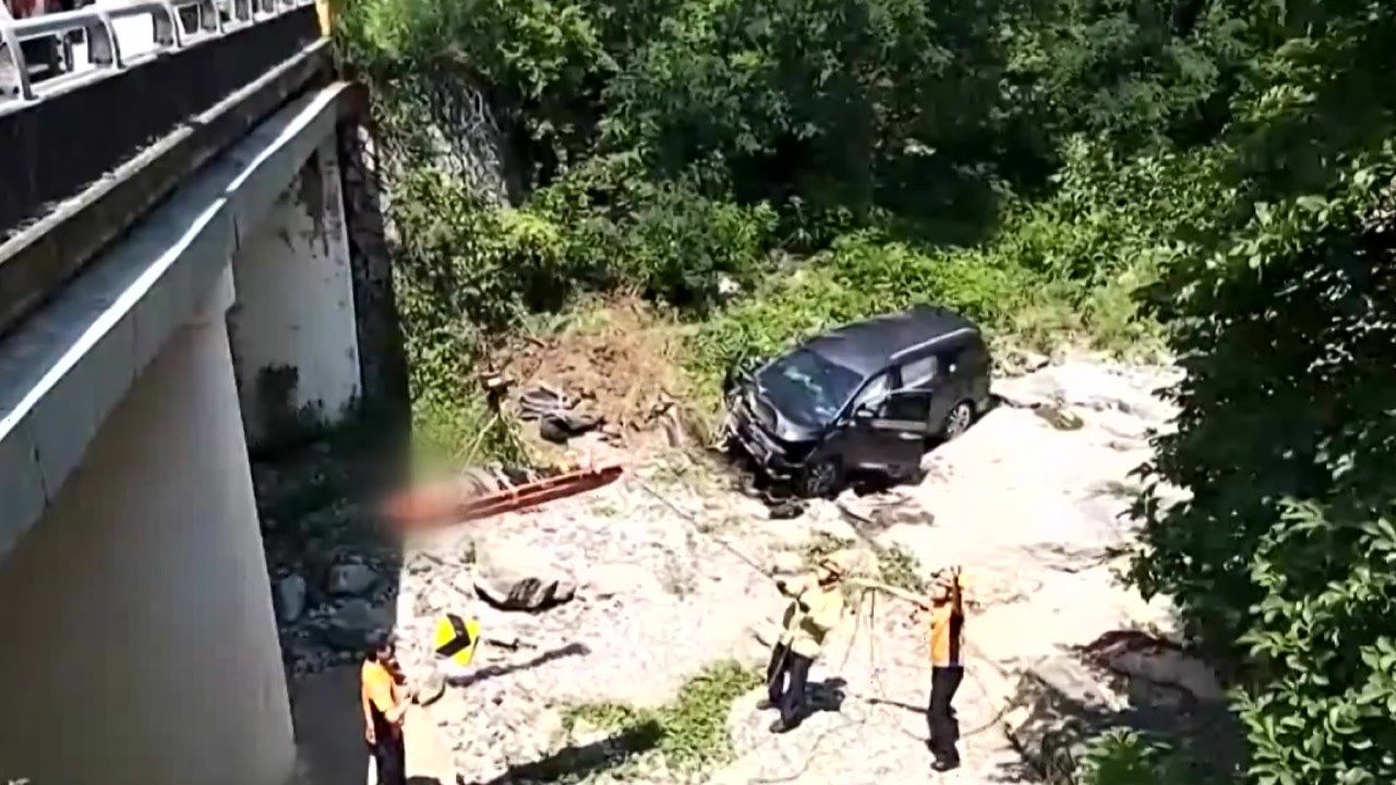 카니발 승용차 다리 아래로 추락..."운전자 중상" / YTN