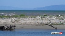 Report TV - Duhet të kishte turistë, por plazhi i Likmetës është pushtuar nga plehrat