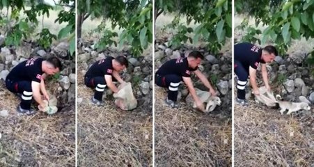 Yavru köpek, ağzı bağlı çuvalın içinde yol kenarına bırakılmış halde bulundu