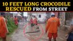 NDRF Team rescued 10 feet long crocodile from flooded street in Vadodara: video viral| Oneindia News