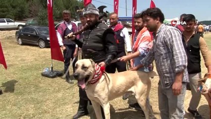 Türkiye'nin 126 Yörük ve Türkmen Derneği üyeleri Denizli'de buluştu