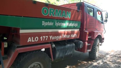 Ağaçlık alanda korkutan yangın