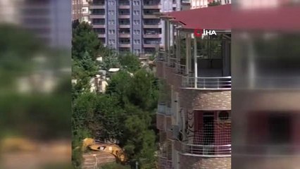 HDP'li belediyeden ağaç katliamı