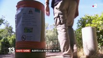Hautes-Saône : trois personnes contaminées par la maladie du rat après une baignade