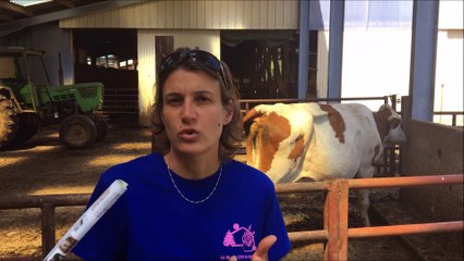 Le Dimanche à la ferme à Buffard