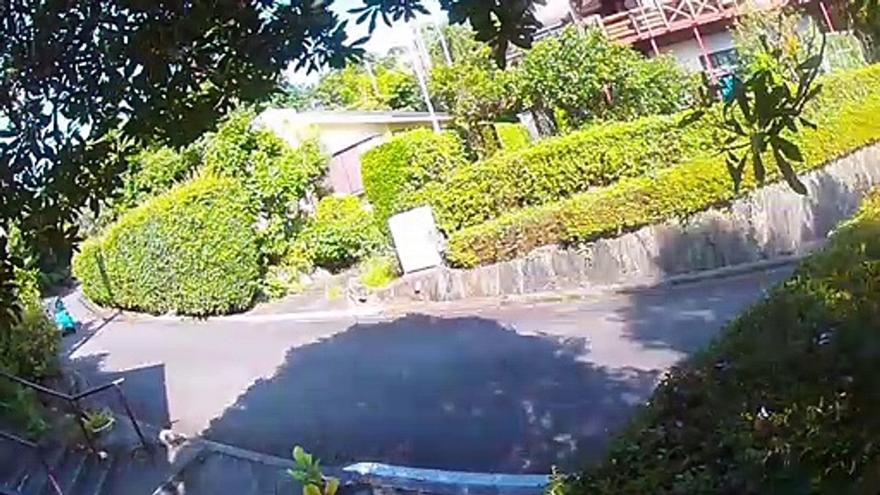 EDR August #4 2019 Helicopter Flew and Street Theater