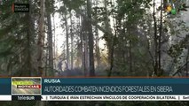Rusia: incendios forestales en Siberia alcanza los 3 millones de has