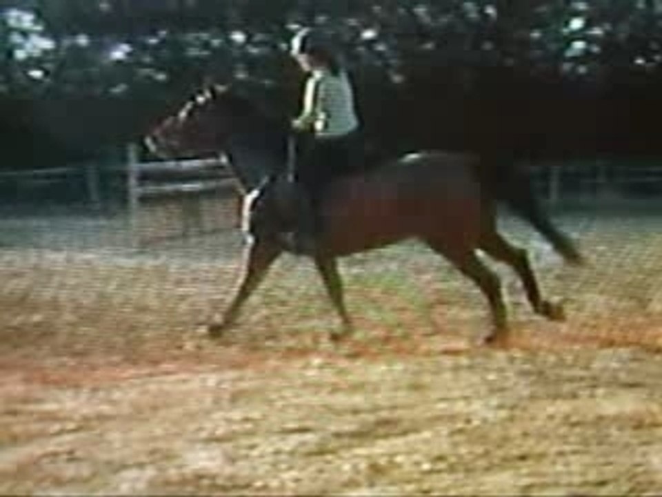 S6002125