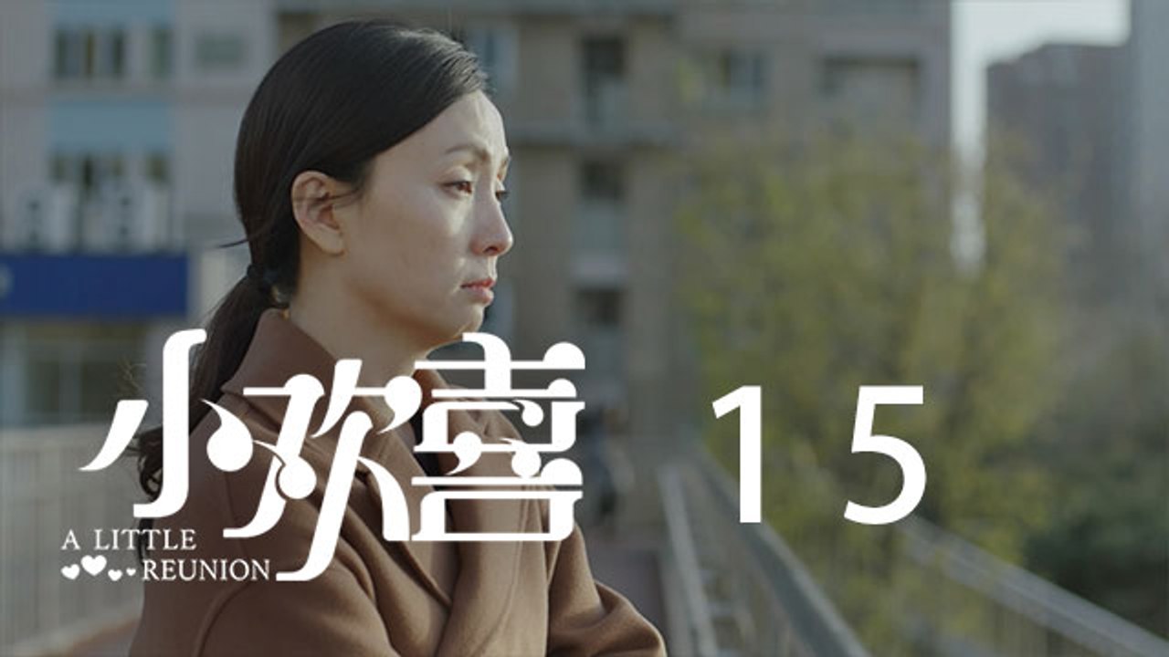 小歡喜 15  A Little Reunion 15（黃磊、海清、陶虹等主演）