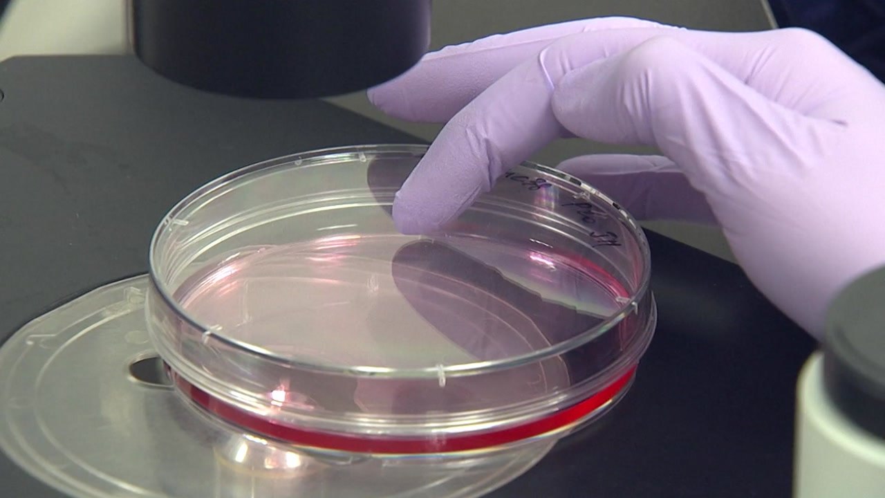 악재 겹친 한국 바이오 산업...신뢰 회복할 수 있을까? / YTN