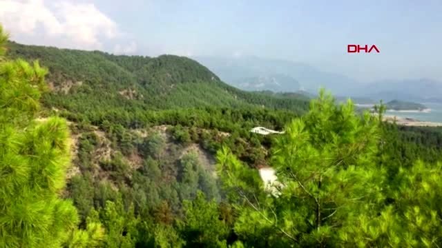 BURDUR Bucak'ta orman yangını