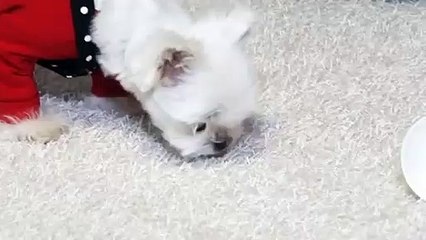 진구출장안마 -후불100%ョØ7ØE7575E0062｛카톡DK654｝ 진구전지역출장안마 진구오피걸 진구출장마사지 진구출장안마 진구출장마사지 진구출장콜걸샵안마 진구출장아로마 ∐∾∋