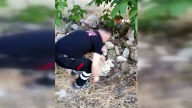 Vicdansızlığın böylesi görülmedi...Köpek yavrusunu çuvala koyup yol kenarına attılar