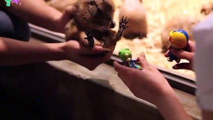 성서출장안마 -후불100%ョØ7ØE7575E0069｛카톡RD654｝ 성서전지역출장안마 성서오피걸 성서출장마사지 성서안마 성서출장마사지 성서콜걸샵㌬㌞≈