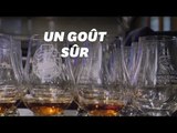 Cette langue artificielle peut analyser votre whisky mieux que personne