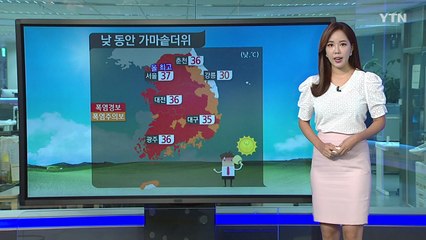 [날씨] 가마솥 더위 기승...서울 37℃, 8호 태풍 북상 중 / YTN