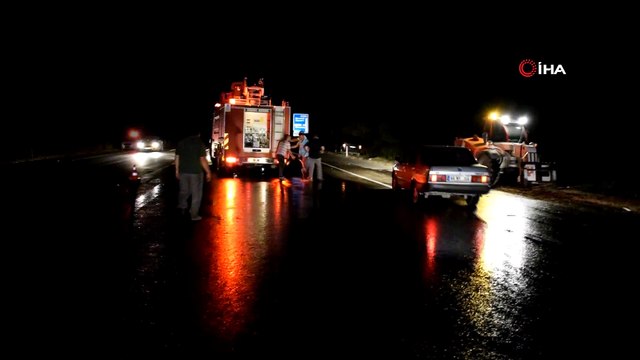İşletmeden kaçan yarış atları şehirlerarası yola girdi... 3 yarış atı telef oldu