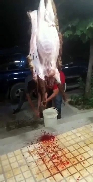 غْدَيْدْ القَلبْ