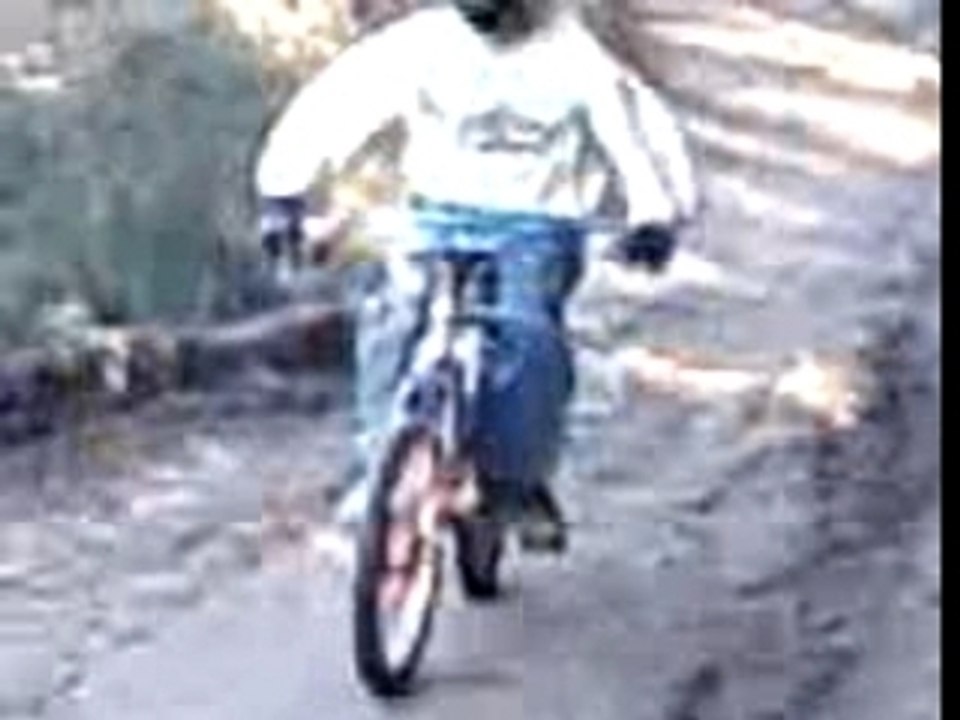 proto balade en foret 1
