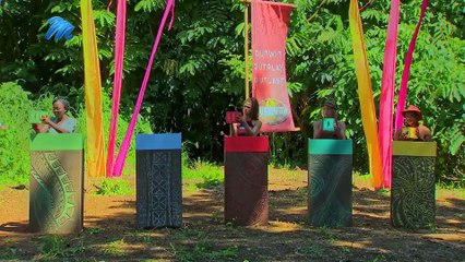 Immunity Challenge: My Poor Brain