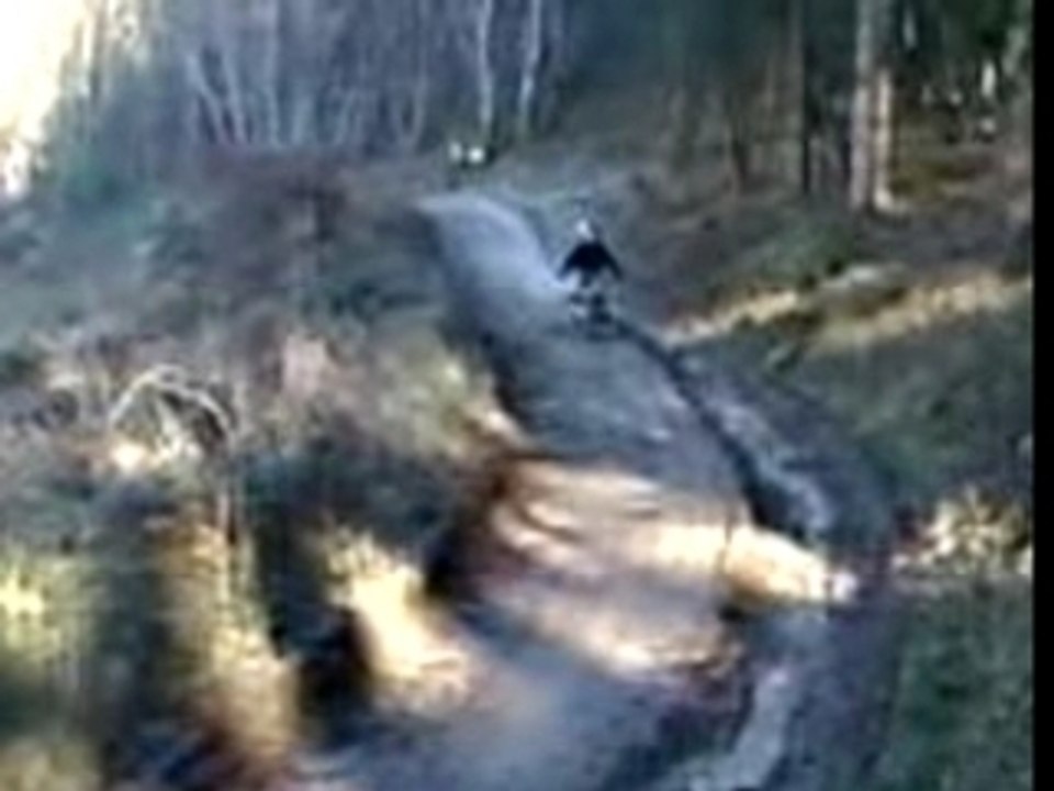 proto balade en foret 3