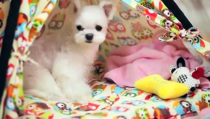 괴산출장안마 -후불100%ョØ1ØZ7362Z3210｛카톡BB5858｝ 괴산전지역출장안마 괴산오피걸 괴산출장마사지 괴산안마 괴산출장마사지 괴산콜걸샵じ≘∩