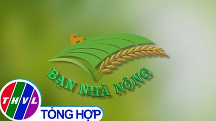 THVL | Bạn nhà nông - Kỳ 182: Quản lý nấm bệnh đạo ôn và vi khuẩn trên lúa