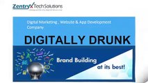 Digital Marketing Comapany Zentryx Tech Solutions