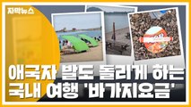 [자막뉴스] 컵라면 가격 실화?...국내 여행족 막는 '바가지요금' / YTN