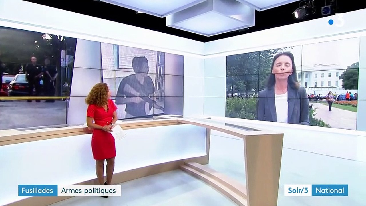 Fusillades aux États-Unis : armes politiques ?