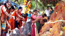 తెలుగు రాష్ట్రాల్లో లో ఘనంగా నాగుల చవితి వేడుకలు| Telugu States Celebrating Nagula Chavithi Festival