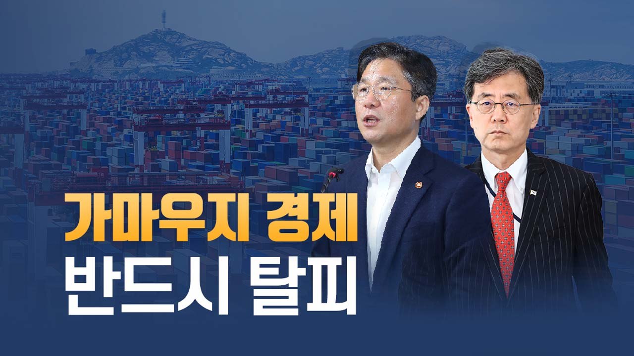 [뉴스TMI] 日 '경제보복', 韓 '경제독립'될까?...'가마우지 경제' 탈피 선언...