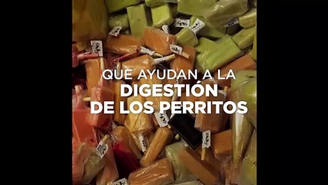 How to make Dog paddles (and human)