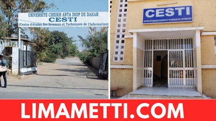 Affaire des 52 attestations - Le Cesti à la barre