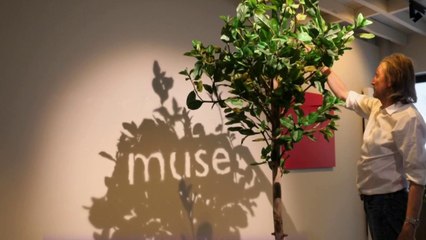 Antiquités - Sculptures en mouvement